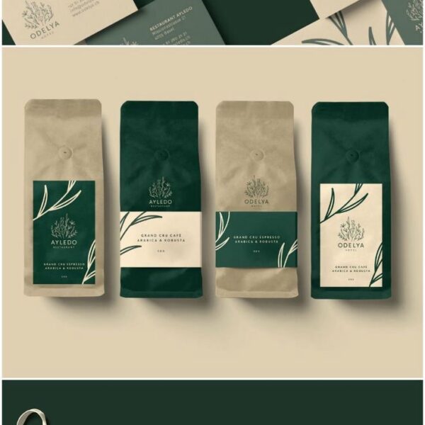 Expert package design services creating visually appealing and custom-designed packaging for enhanced product presentation and consumer engagement.