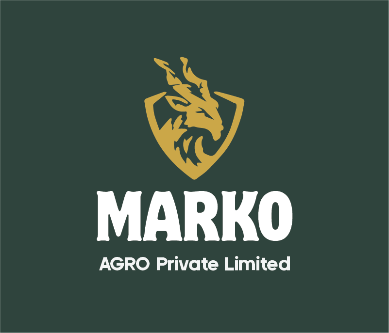 Markho Logo Design and Branding Design